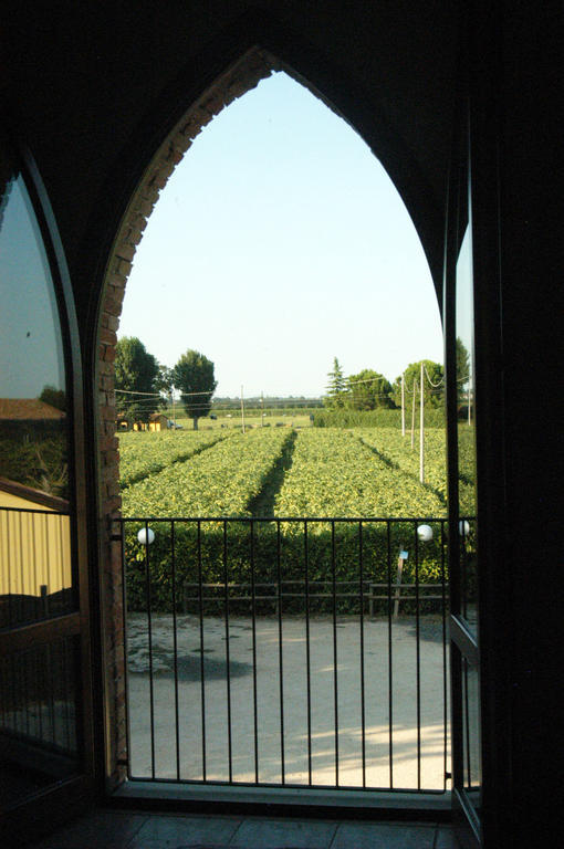 Locanda Merlaschio Faenza Pokoj fotografie