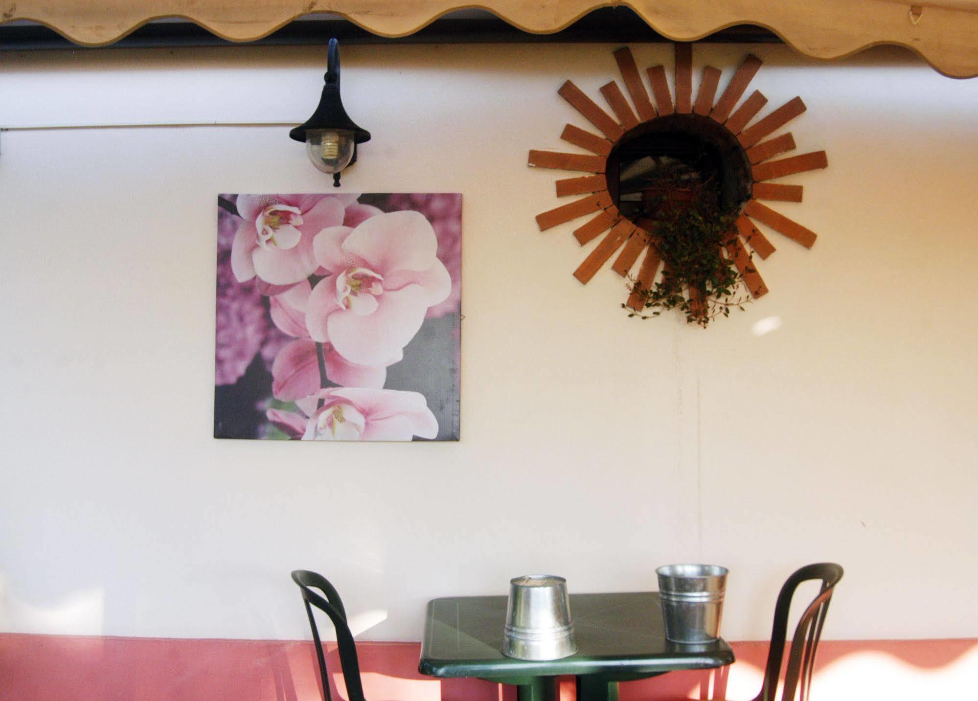 Locanda Merlaschio Faenza Exteriér fotografie